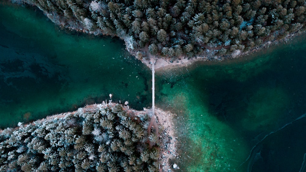 aerial photo of green body of water