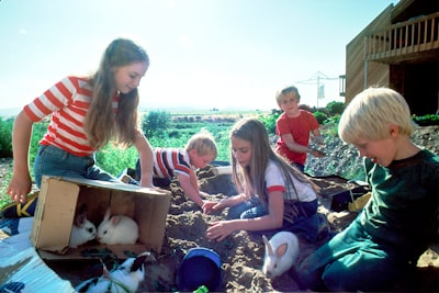 The Impacts of Outdoor Learning Activities on Children\u0027s Self Development Image