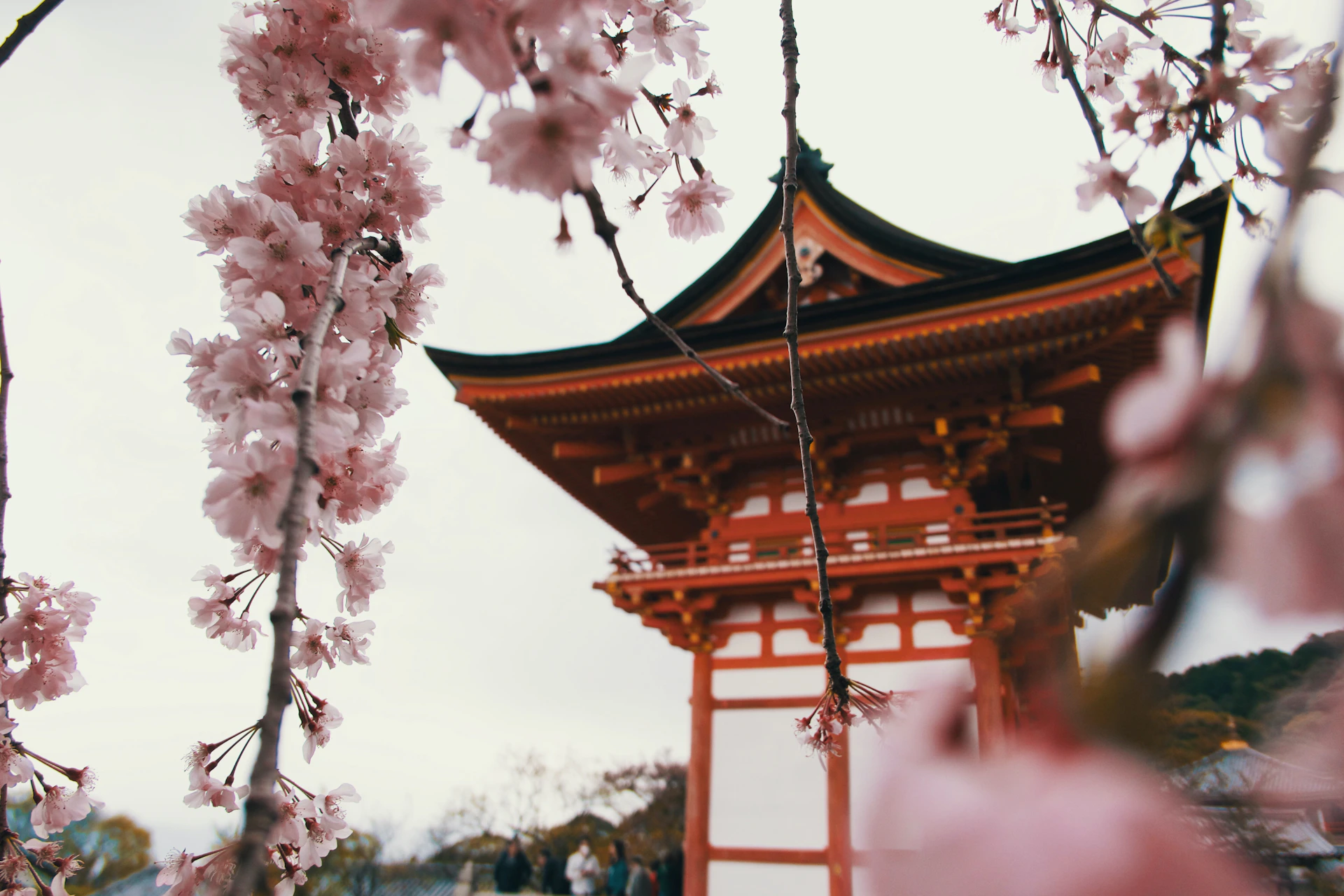 white and red temple