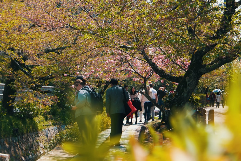 Personas cerca de los árboles del parque durante el día