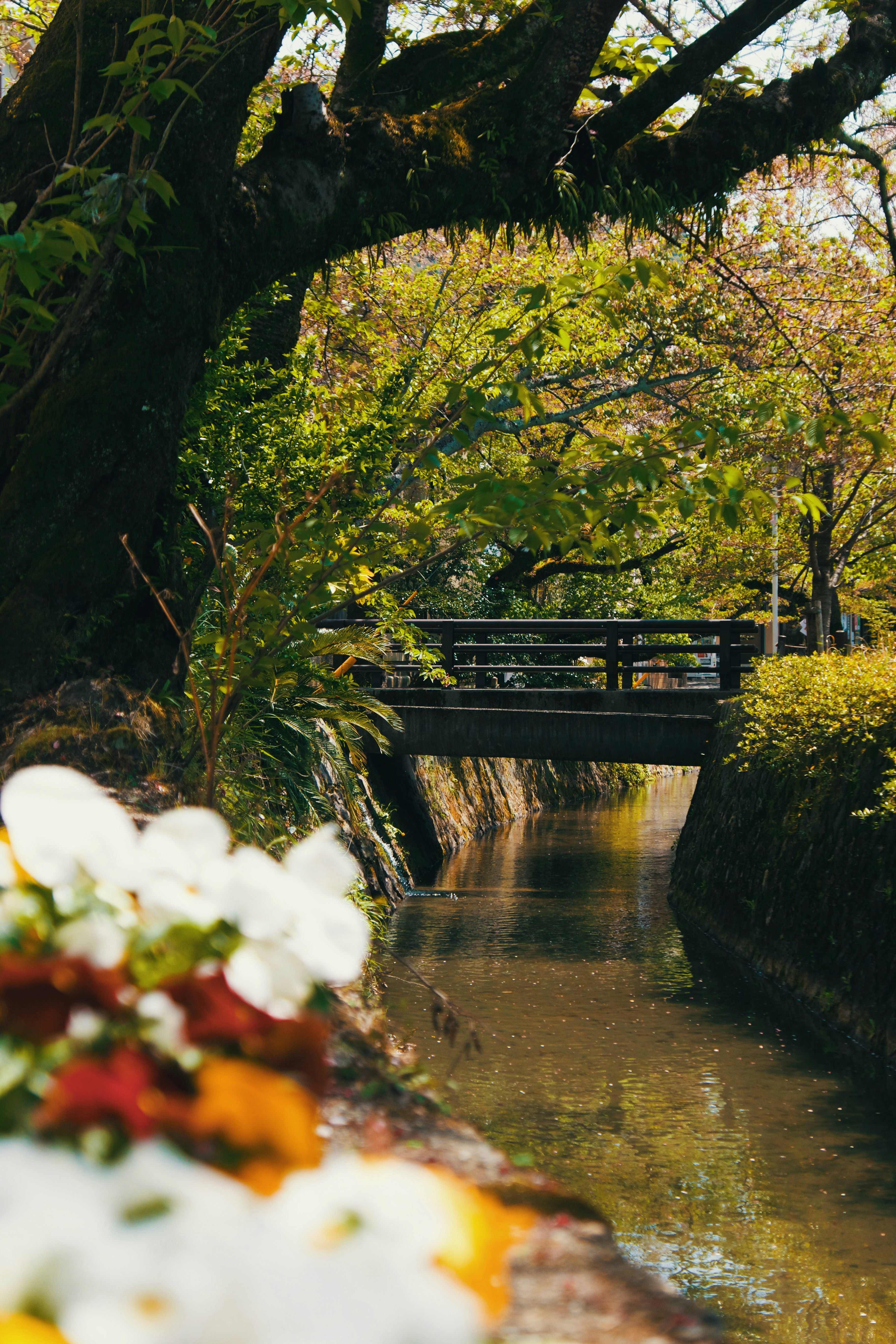 Photo by nomadicjulien