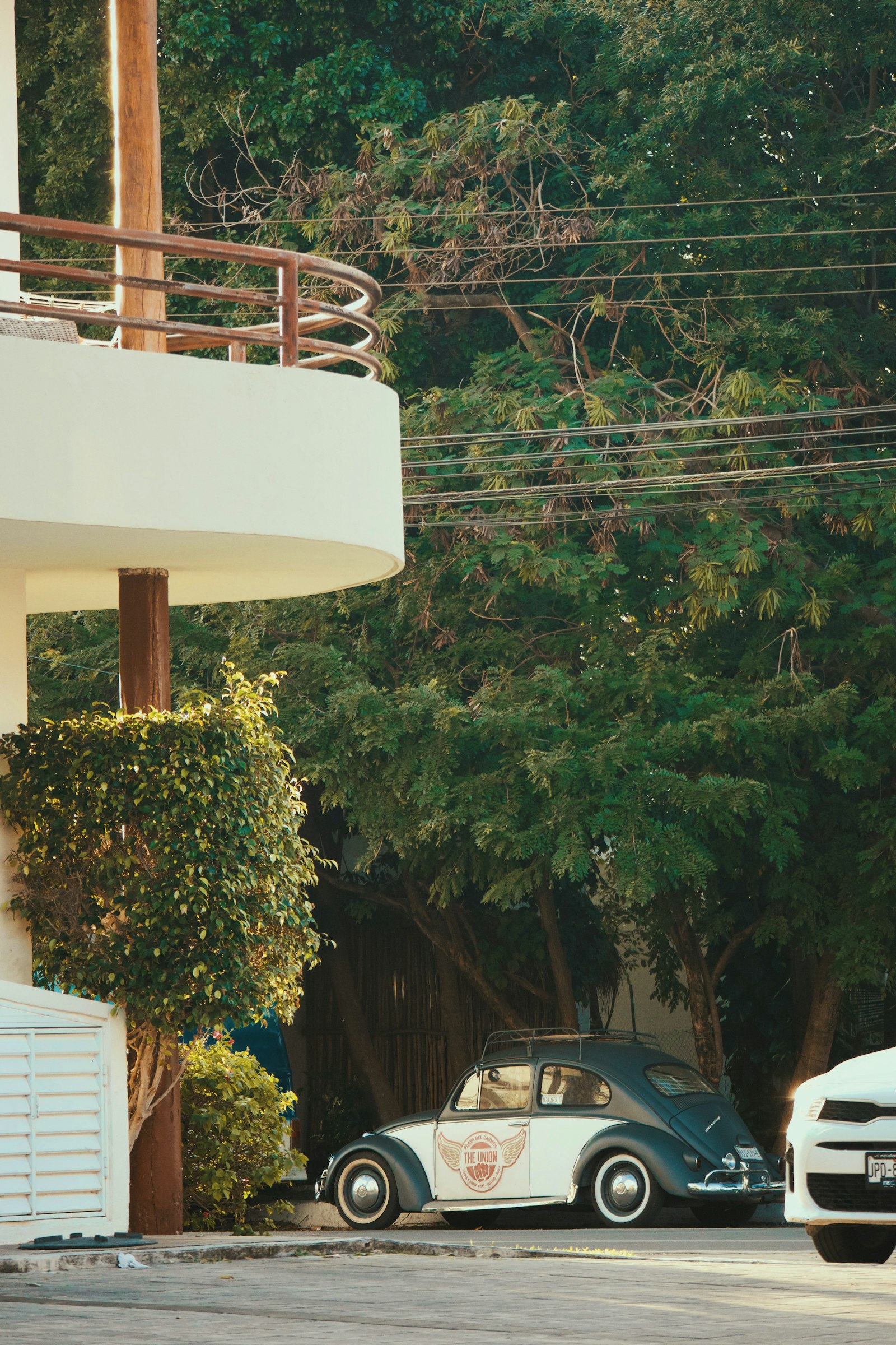 Canon EOS M6 + Canon EF-M 55-200mm F4.5-6.3 IS STM sample photo. Parked car under tree photography