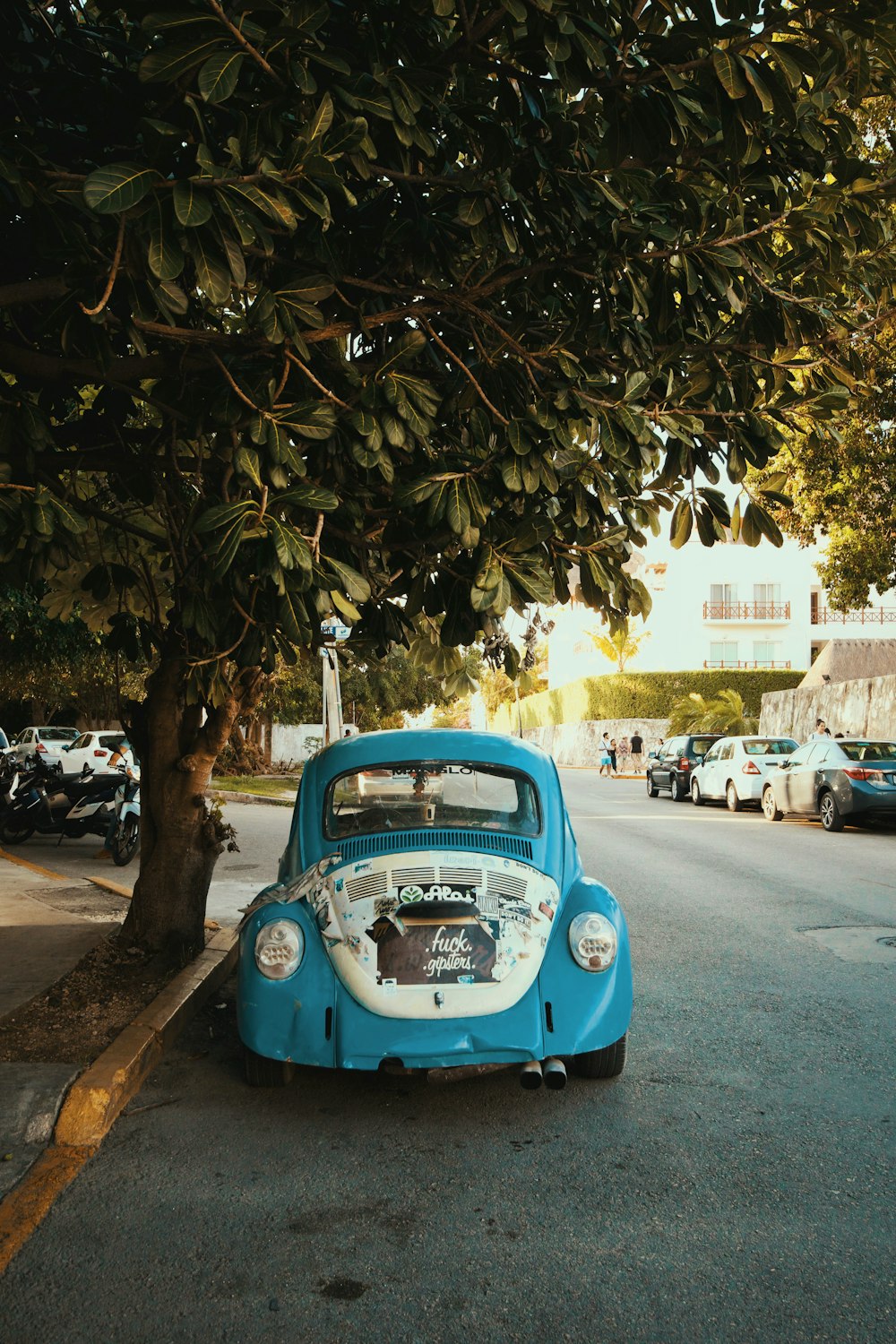 vehicle parked under trees