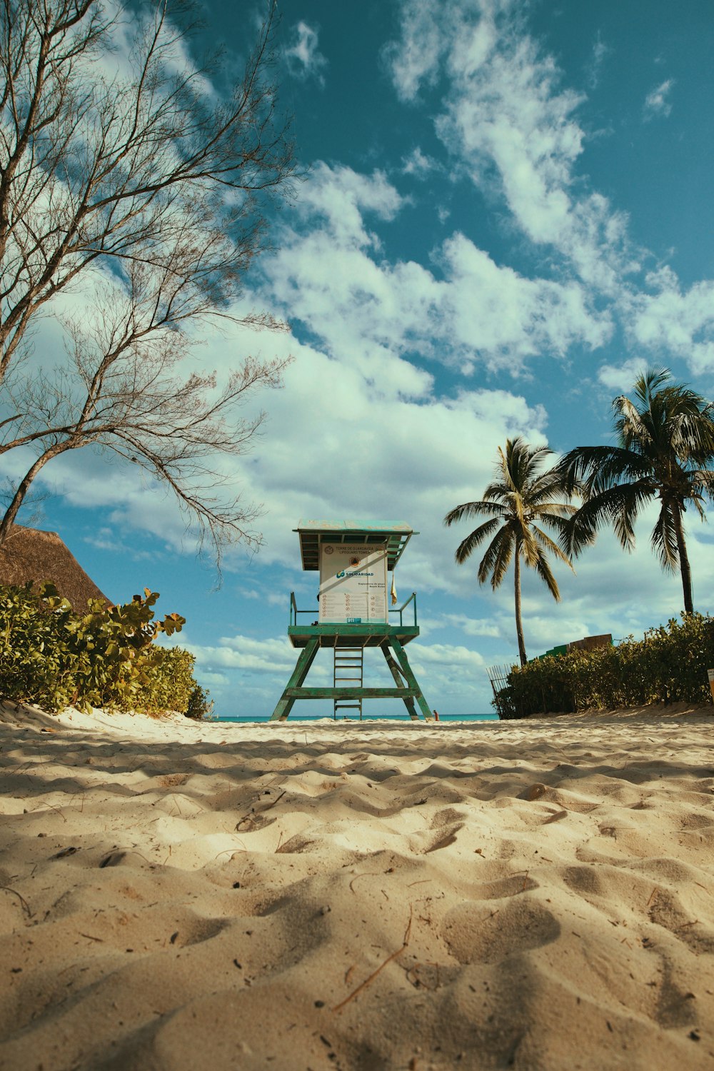 lifeguard house near trees and ocean