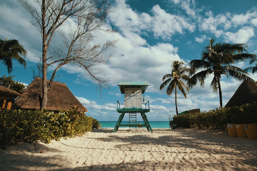 lifeguard house near coconut tree