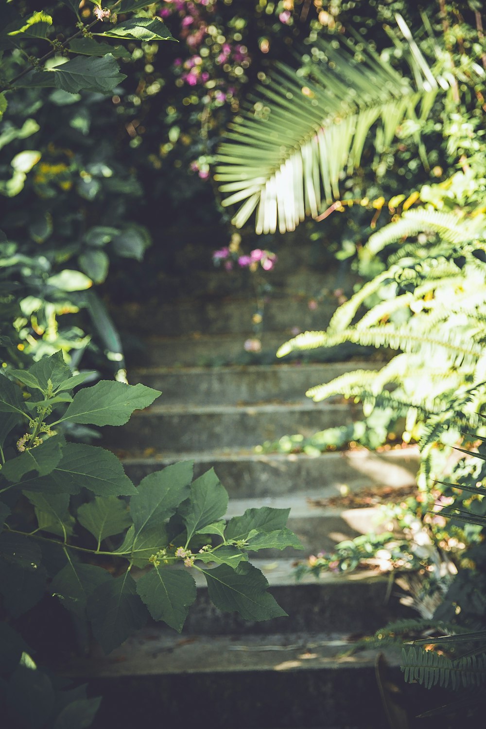 green leaves