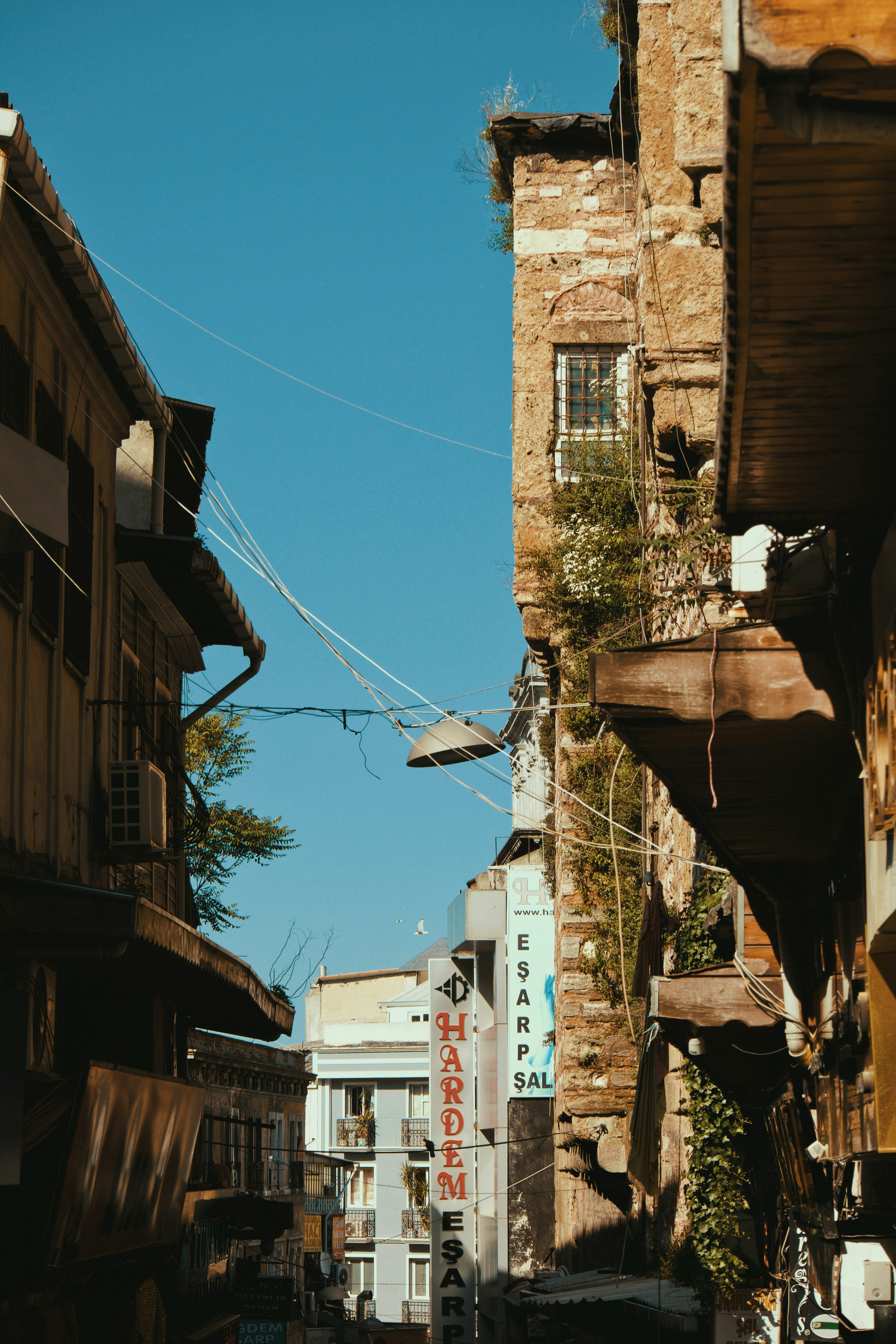 Photo by nomadicjulien