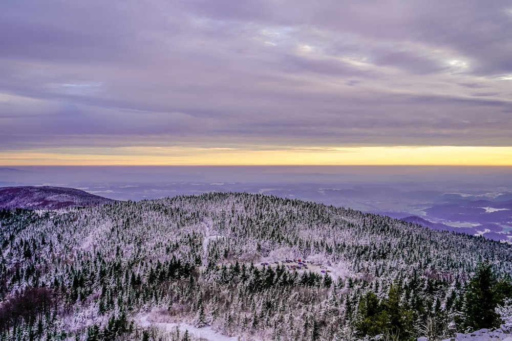 aerial photography of field and trees covered with snow under blue and white sky