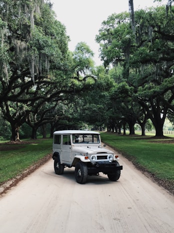 white Jeep SUV parking on road surrounded with green trees