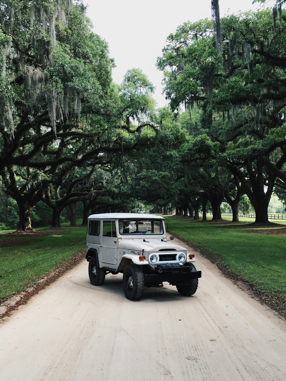 white Jeep SUV parking on road surrounded with green trees