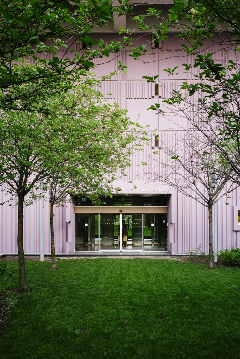 green-leafed trees