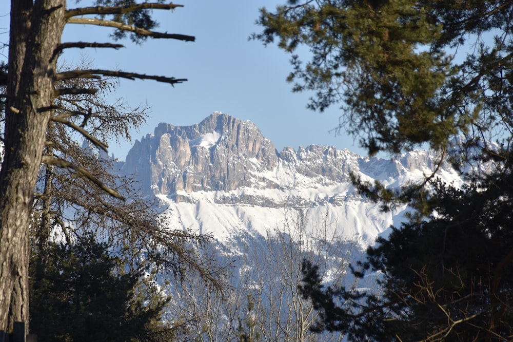 photography of snow-capped mountain during daytime