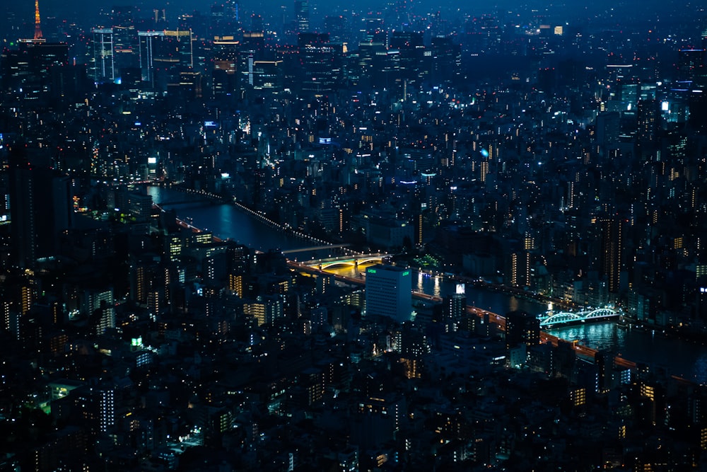 aerial photography of city with high-rise buildings viewing blue sea during night time