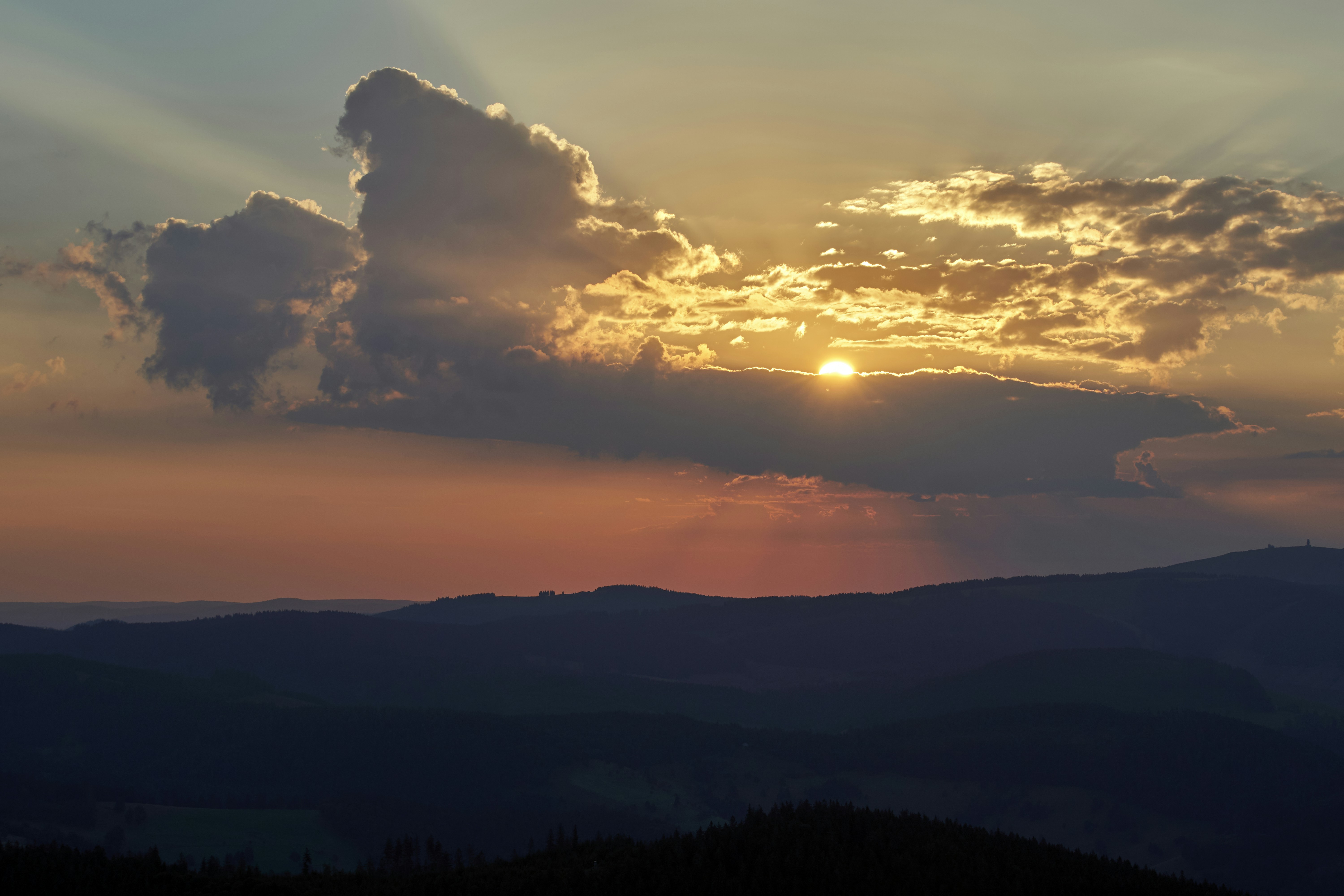 Photo by wolfgang_hasselmann