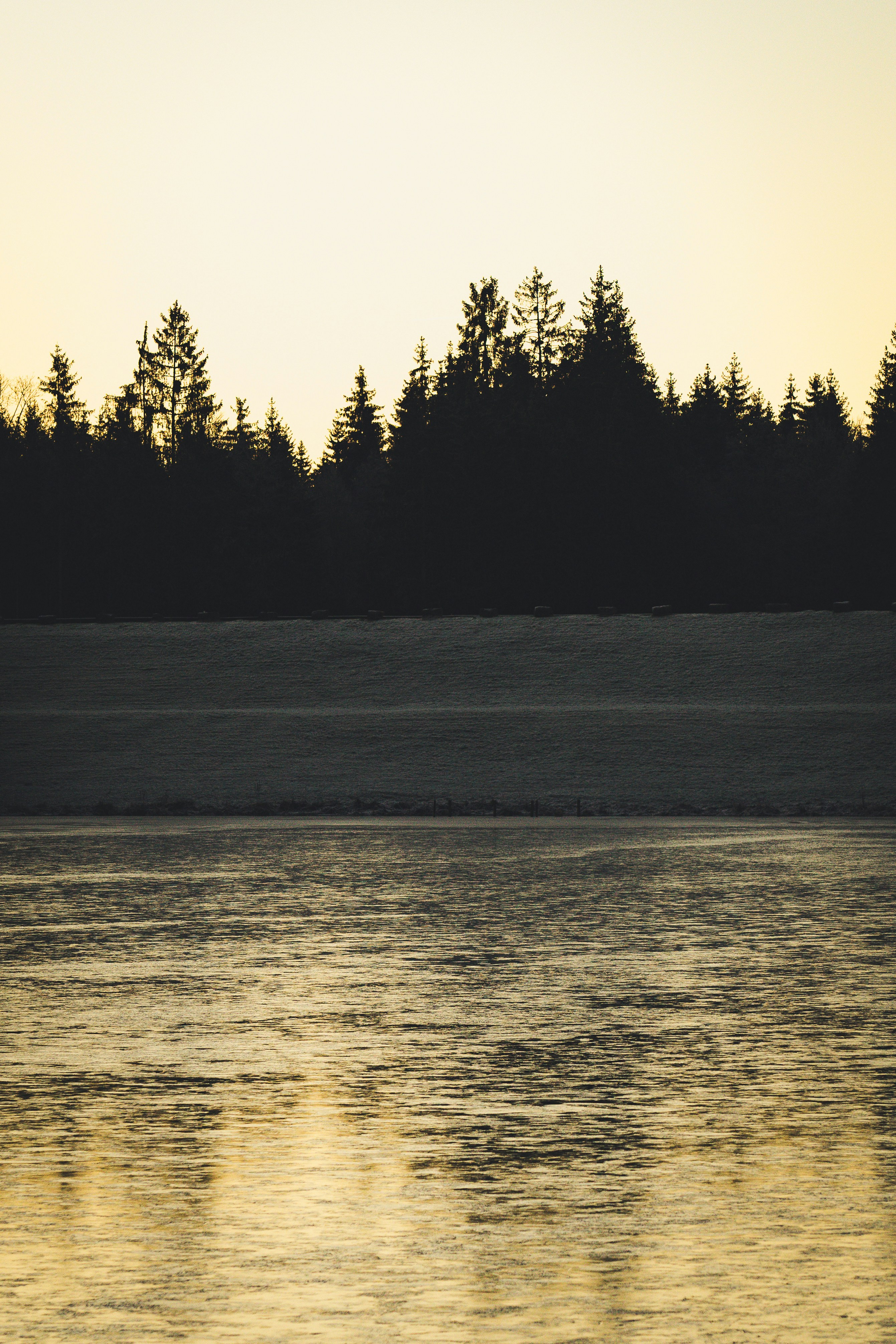 Photo by theverticalstory