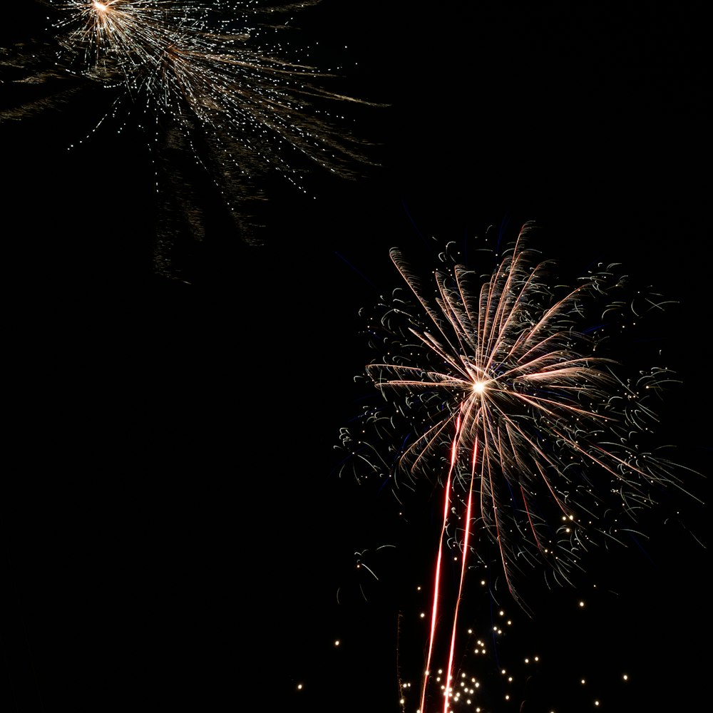 multicolored fireworks display