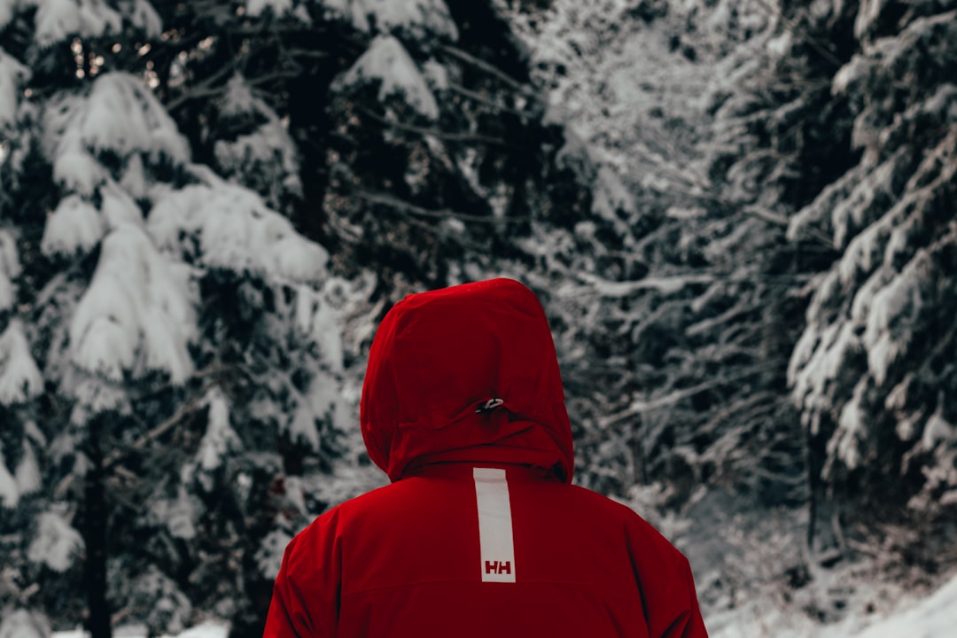 person wearing red hooded jacket near trees during winter