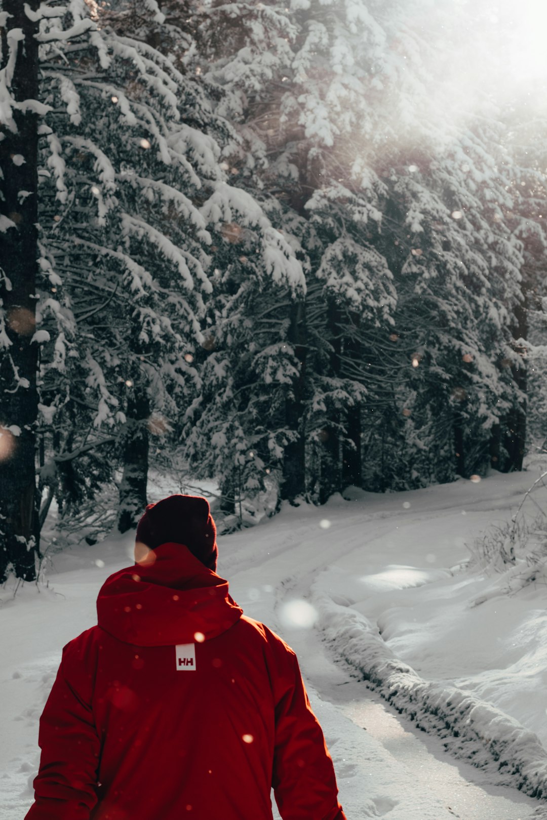 person wearing hooded jacket on snowfield near trees during day