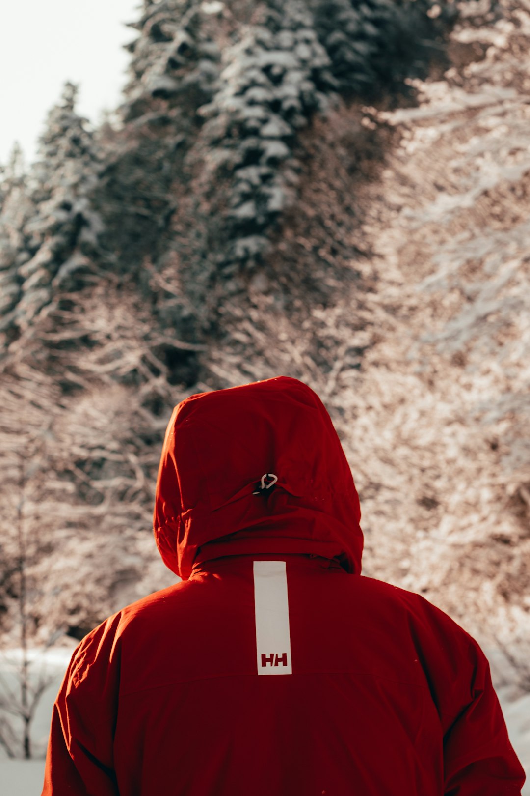 person wearing red hooded top near trees during winter