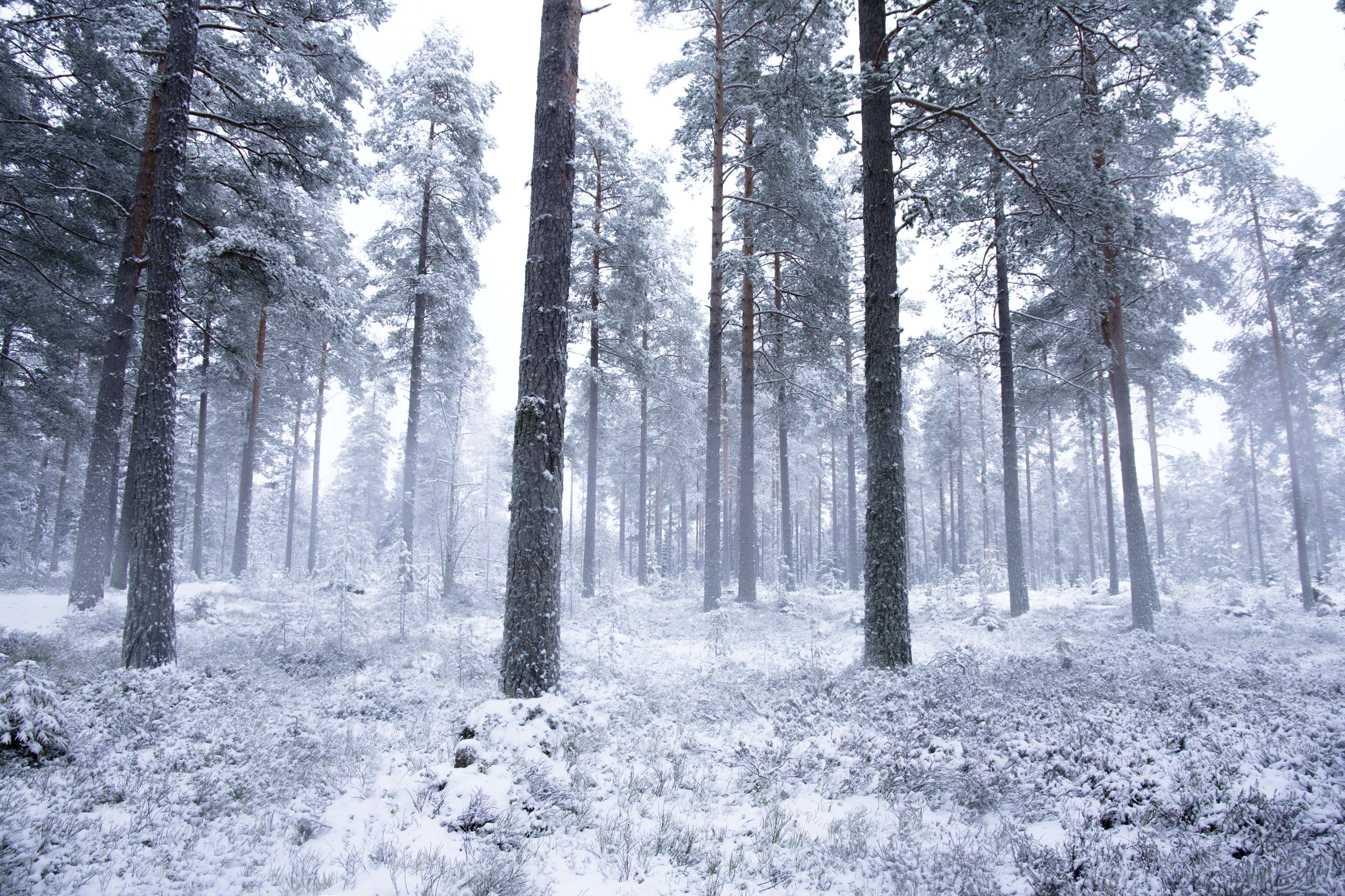 Photo by fannygustafsson