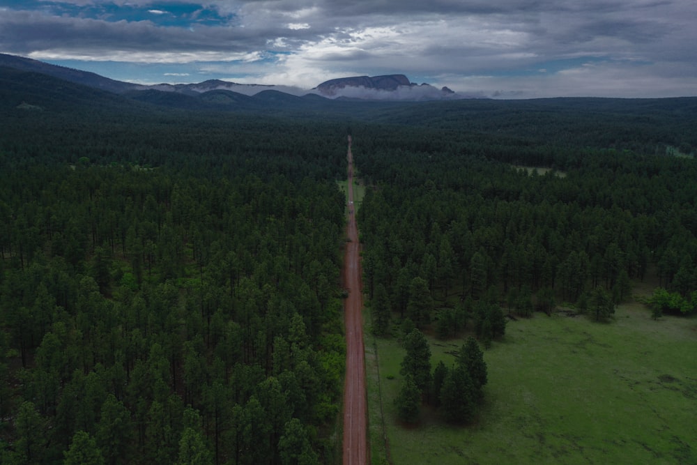 road between trees under cloudy sky during daytime