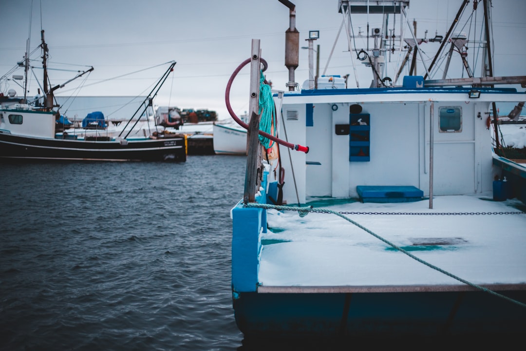 white and blue ship