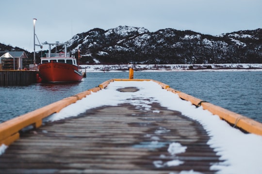 orange boat on body of water viewing mountain in Stephenville Canada