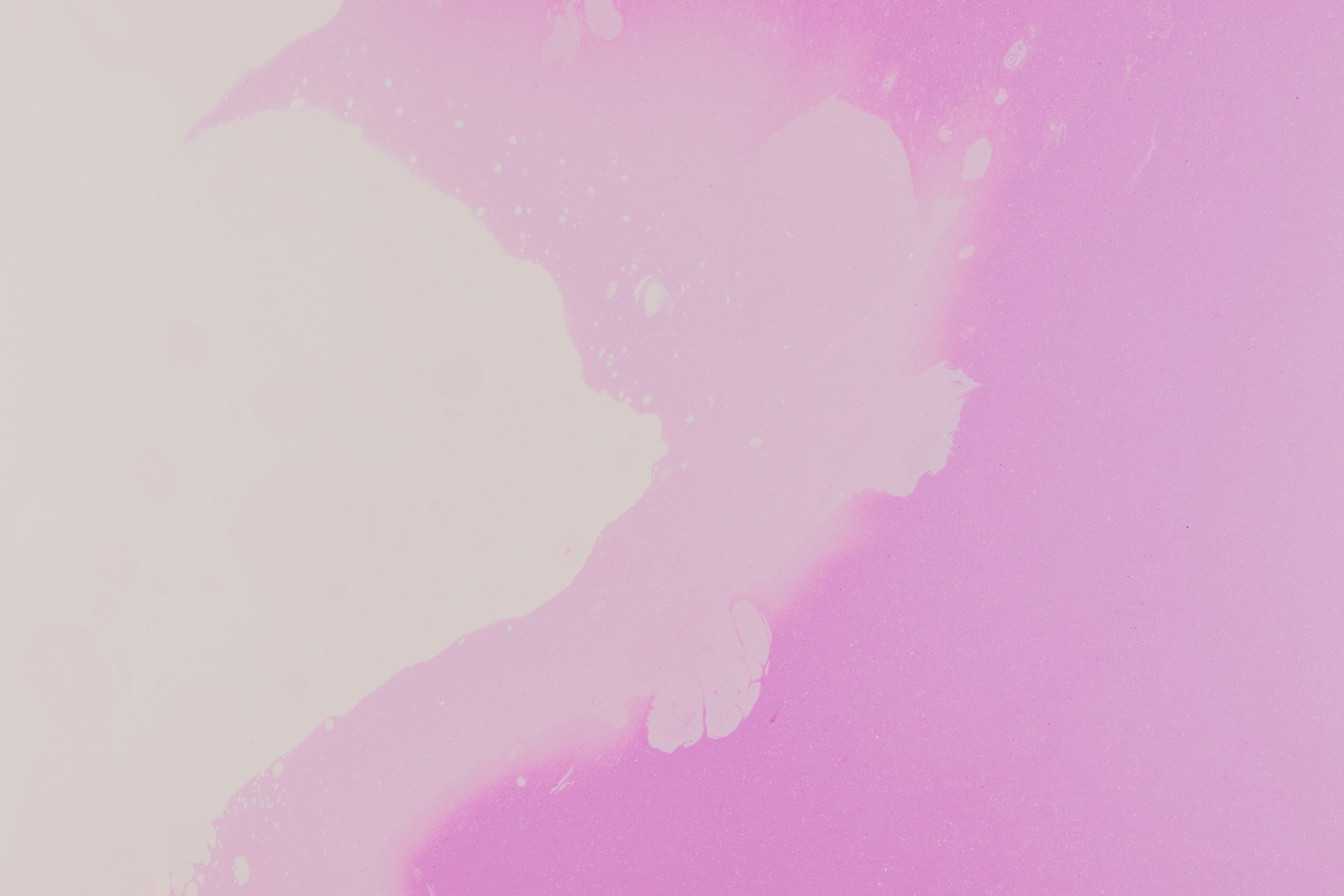 a pink and white background with a black and white cat