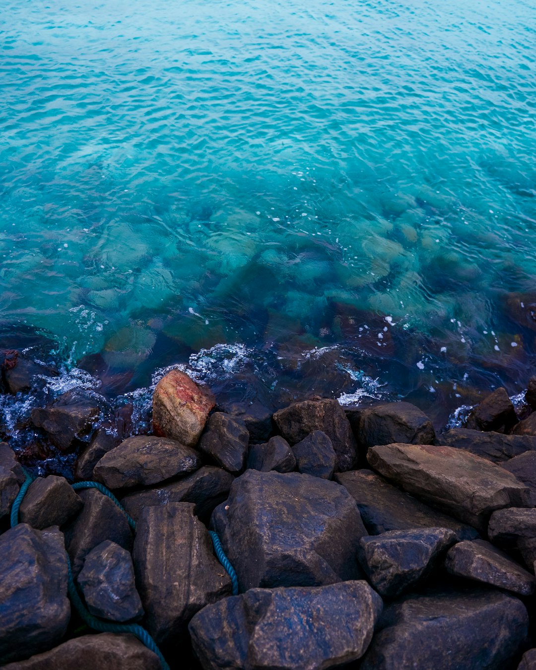 rocky shore during day