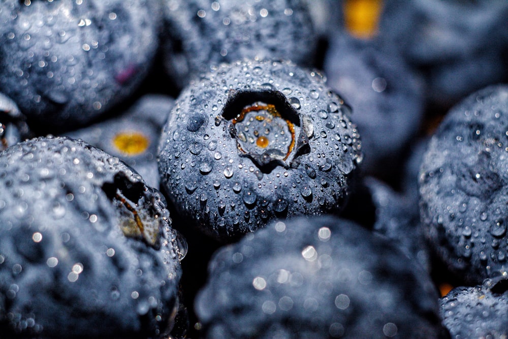 blueberry fruit