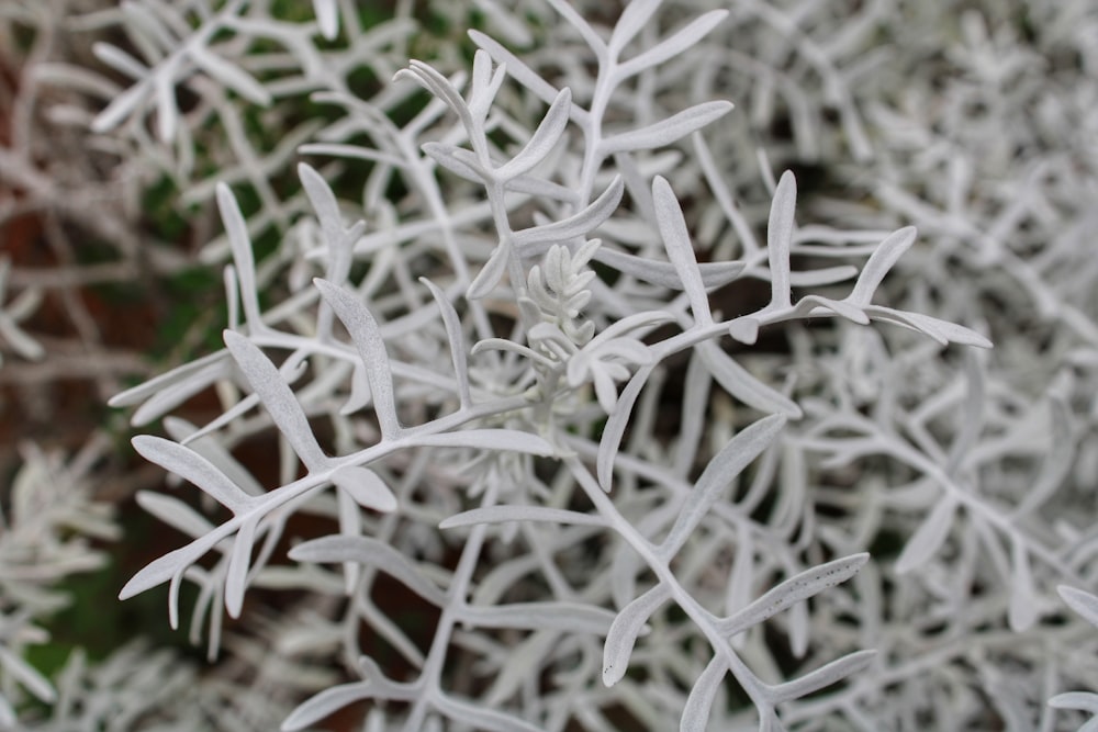 a close up of a snowflake on a brick wall