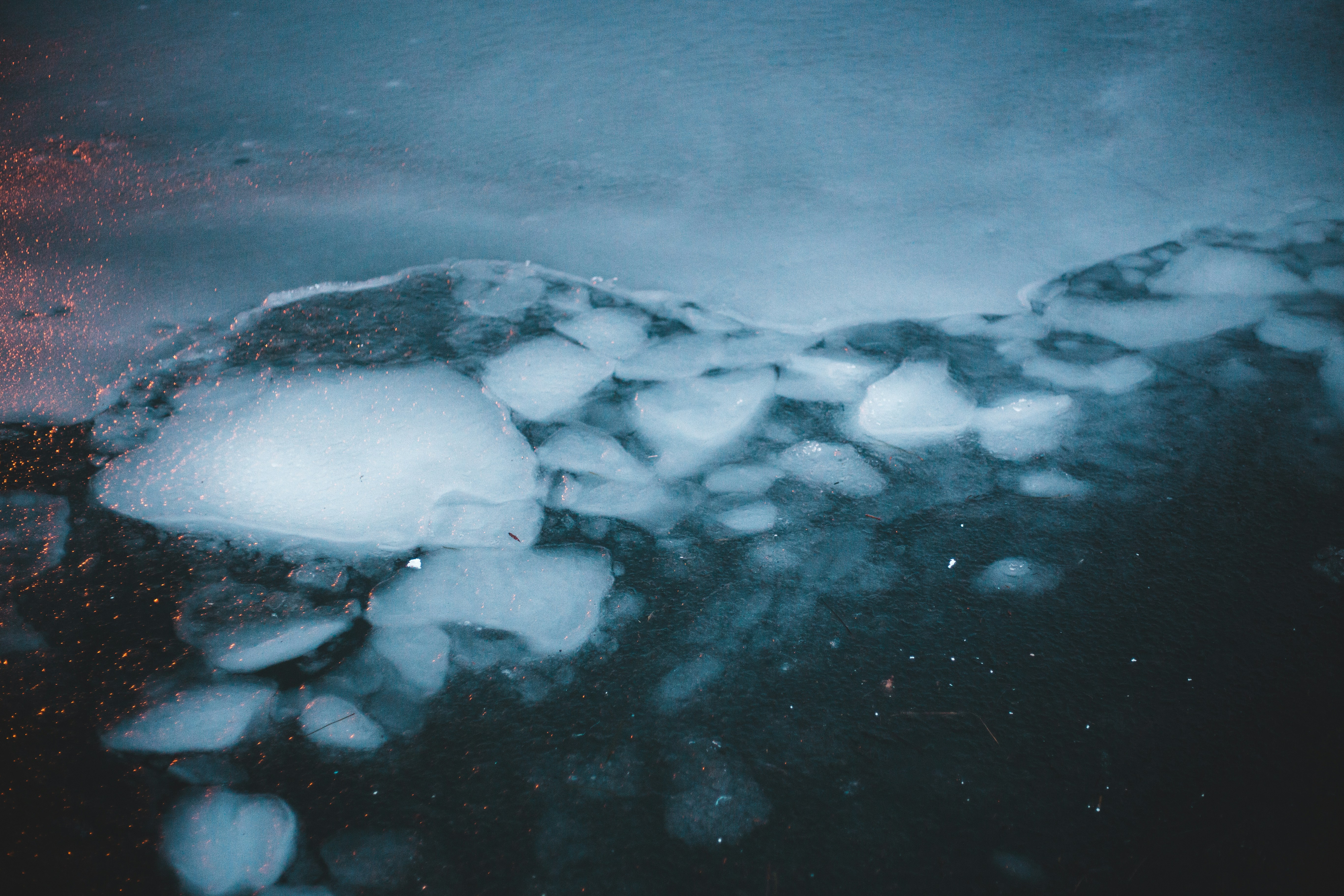 Underwater Echoes: Sounds Below the Surface (image credits: unsplash)