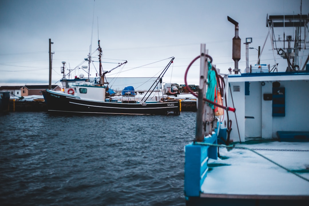 fishing boats during daytime