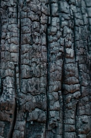 Bois brulé - aspect carbonisé shou sugi ban