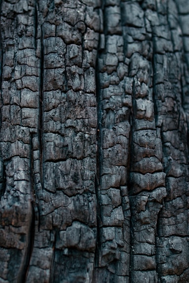 Bois brulé - aspect carbonisé shou sugi ban