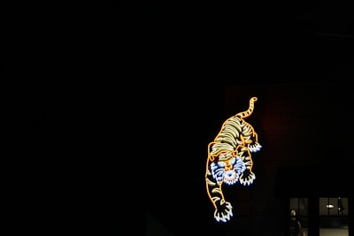 Close-up of the friendly tazik mascot with a soft neon glow and sparkling stars in the background.