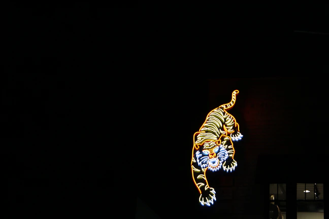 A detailed graphic of a fiery red tiger slot symbol glowing on the reels