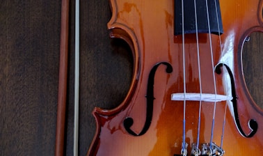 brown violin