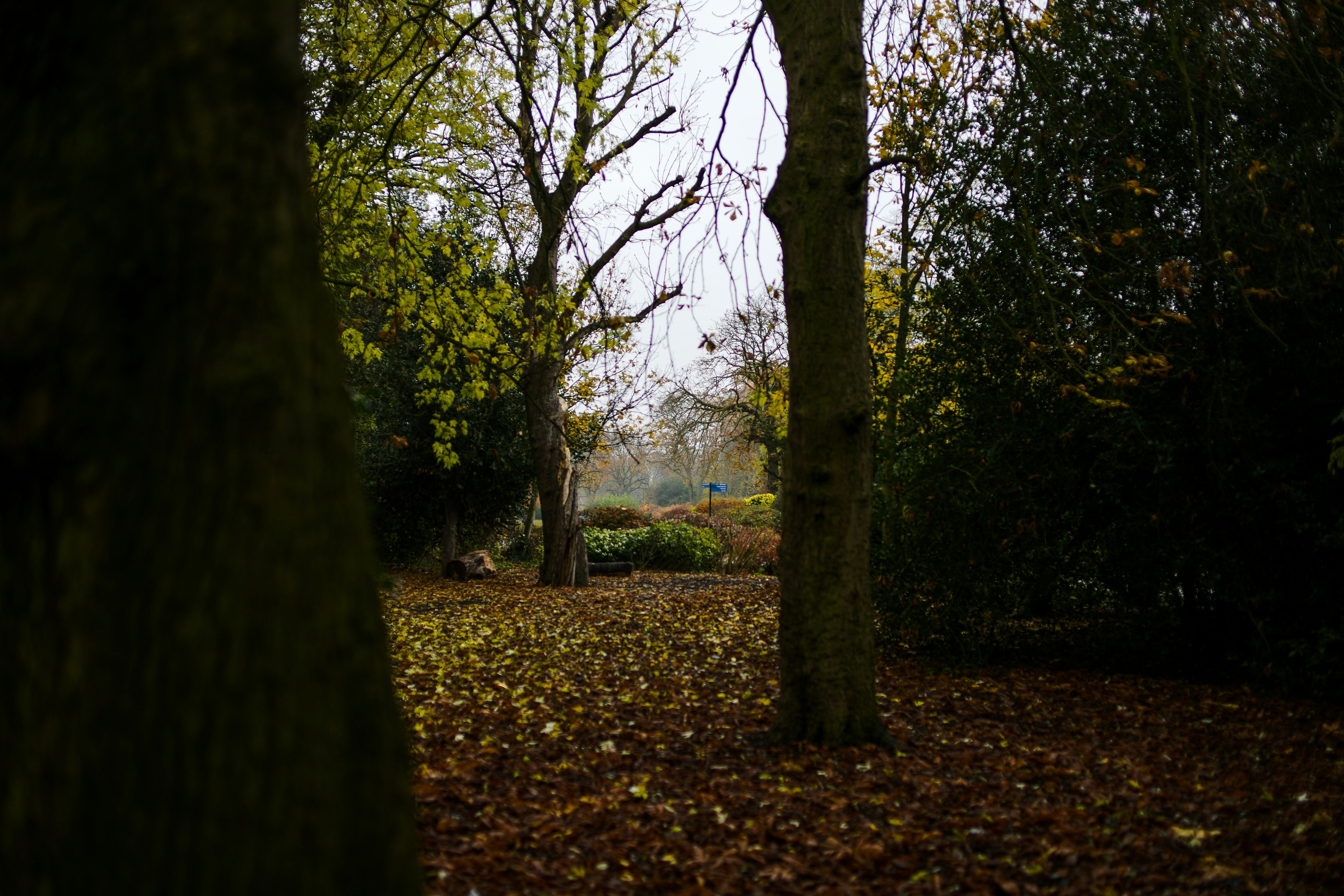 Photo by joshwilburne