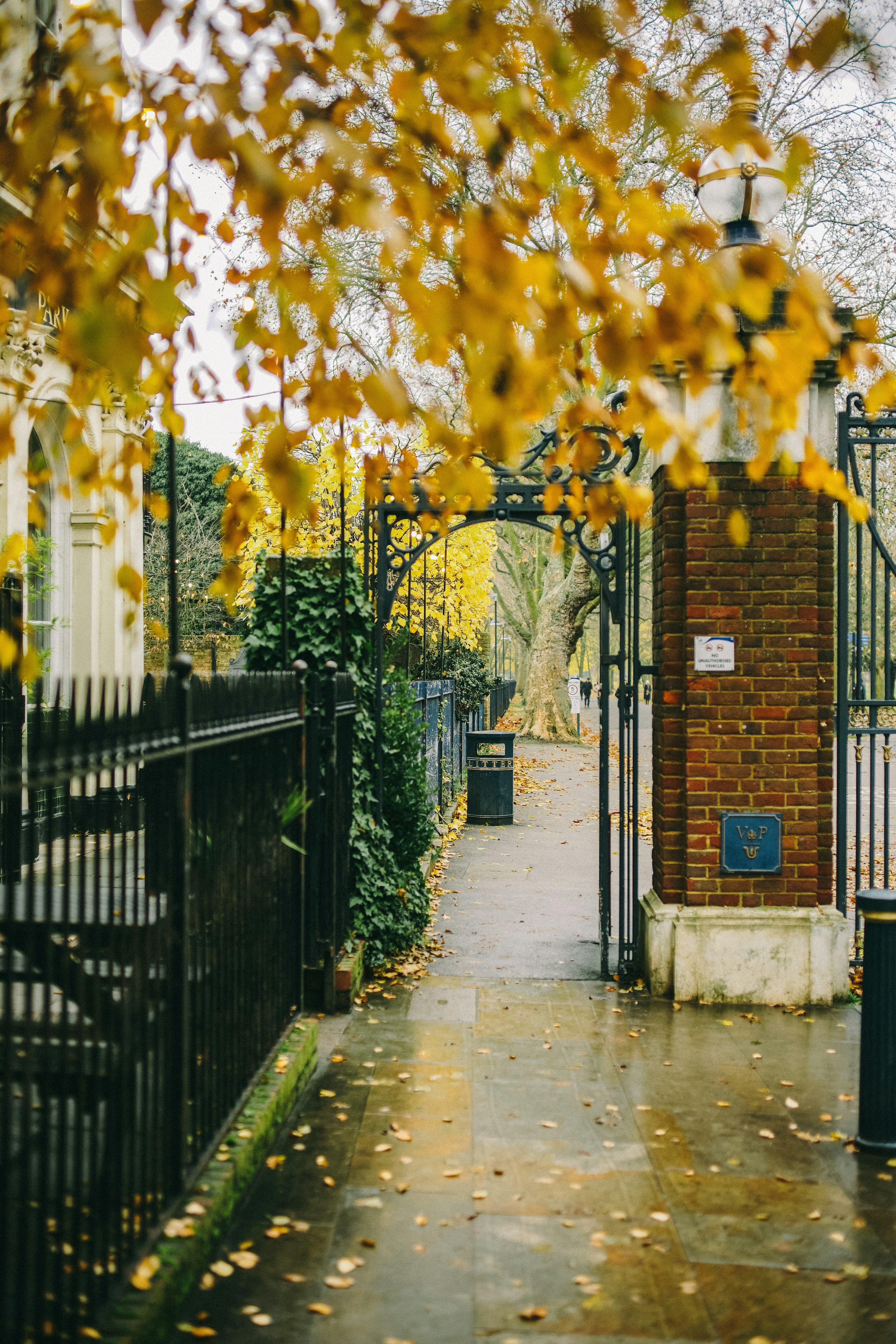 Photo by joshwilburne