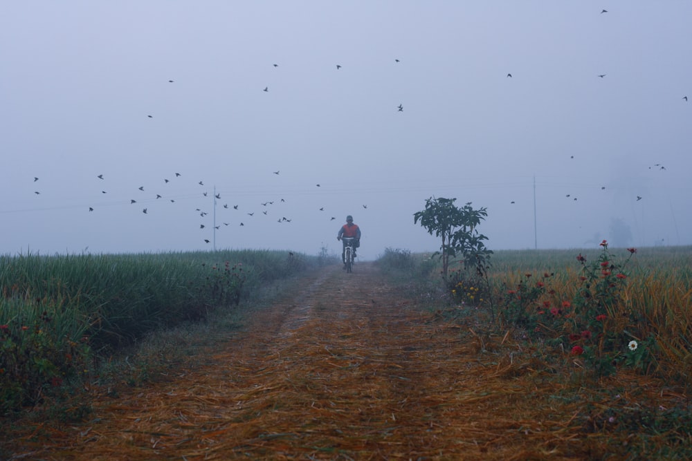 person riding a bicycle