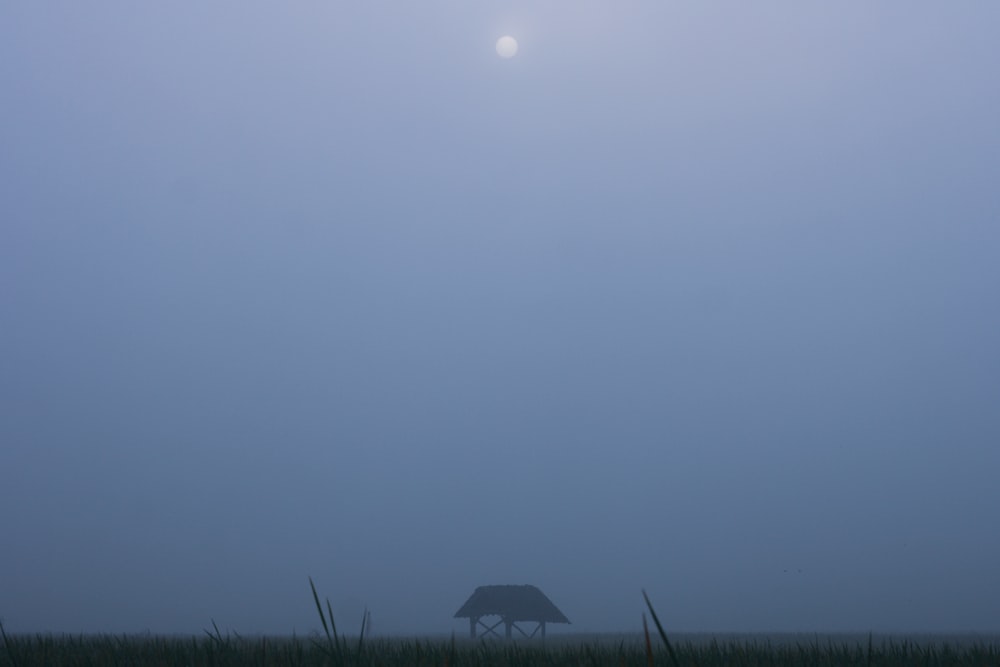 a foggy field with a house in the distance