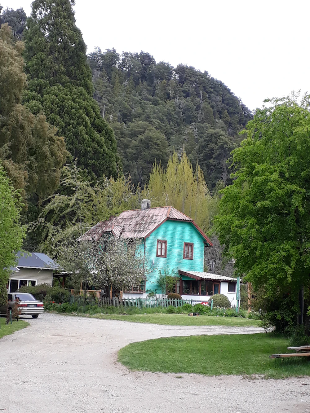 Casa de madera rodeada de bosque