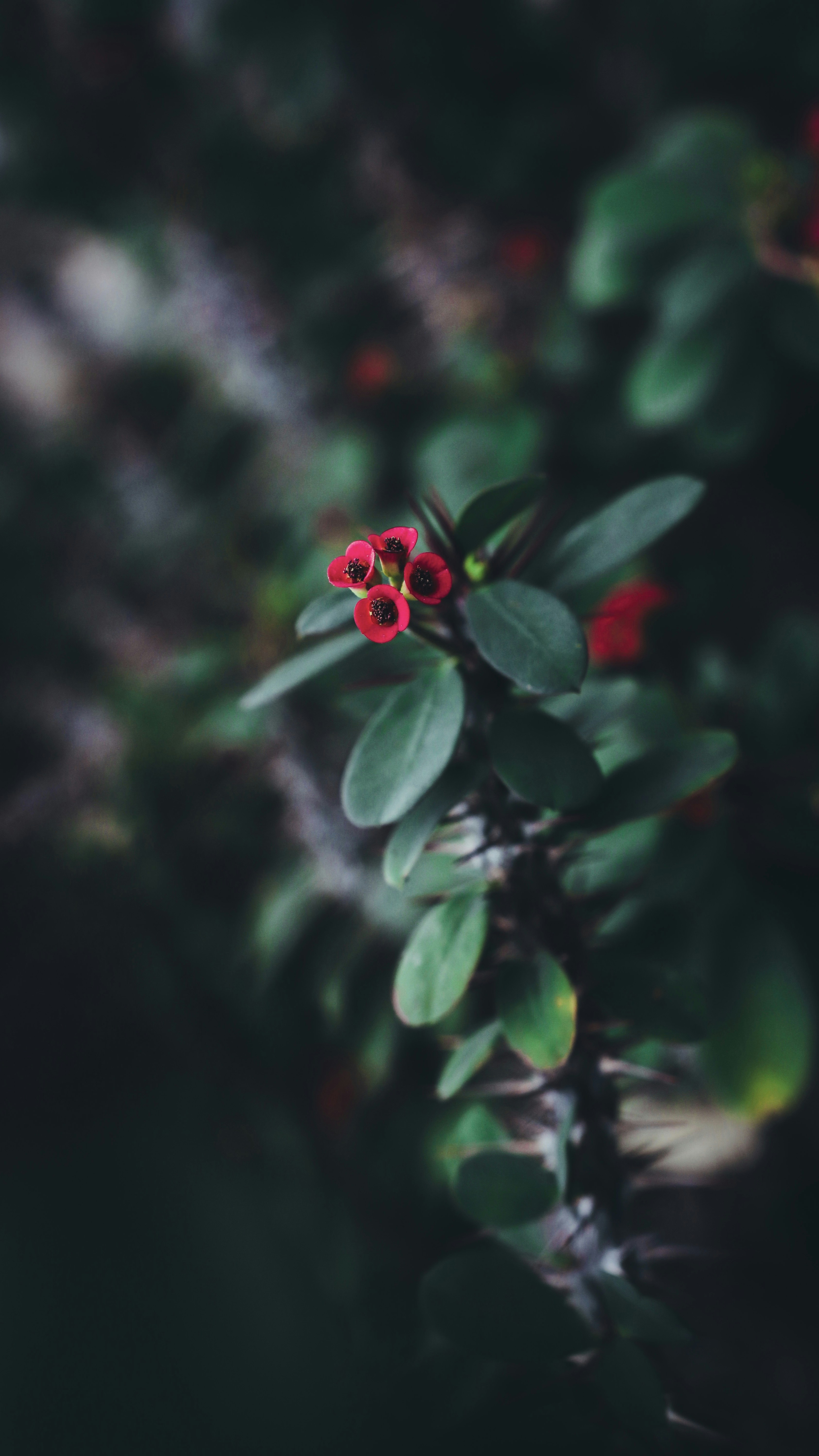 Photo by create4eyes