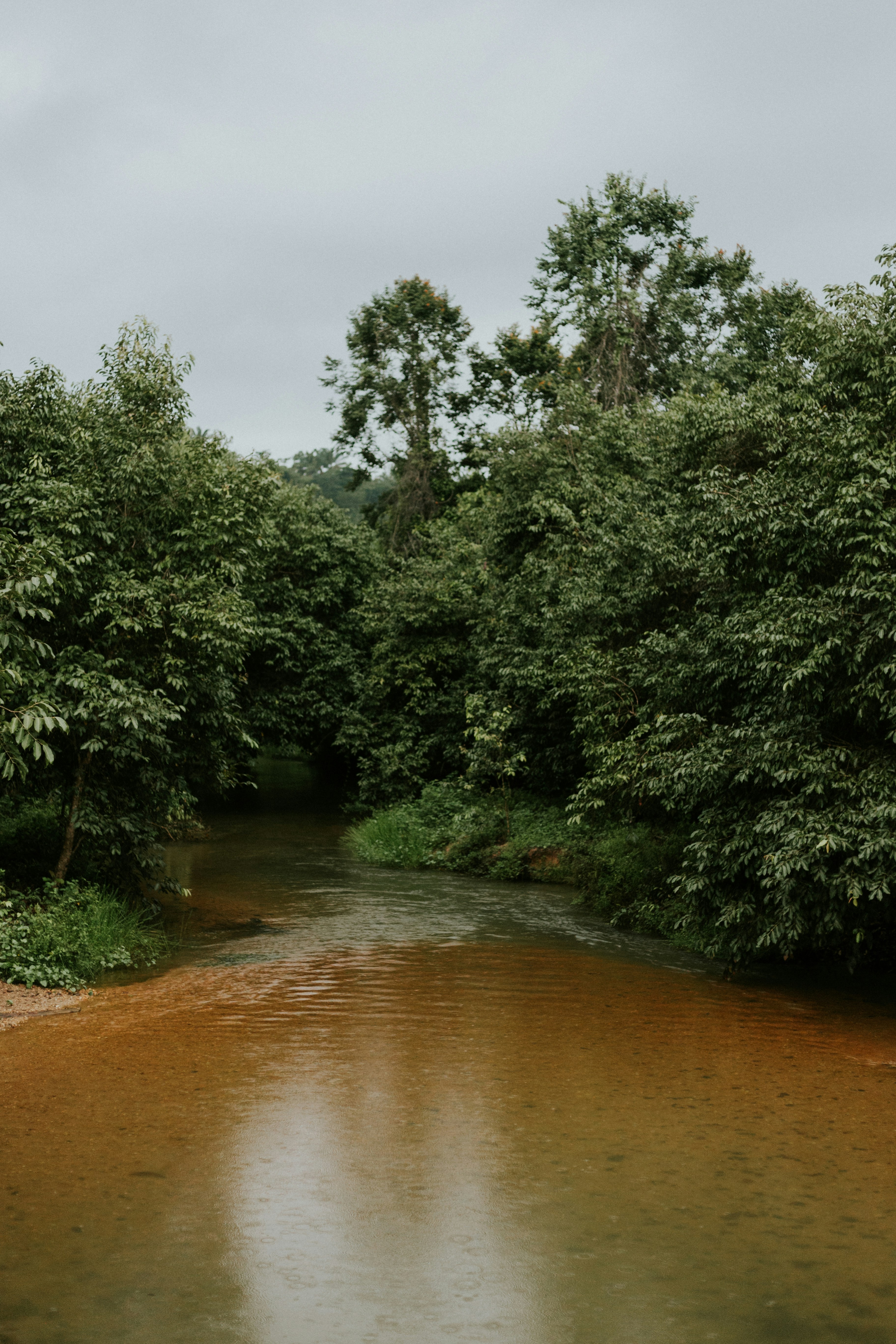 Photo by lucasmendesph