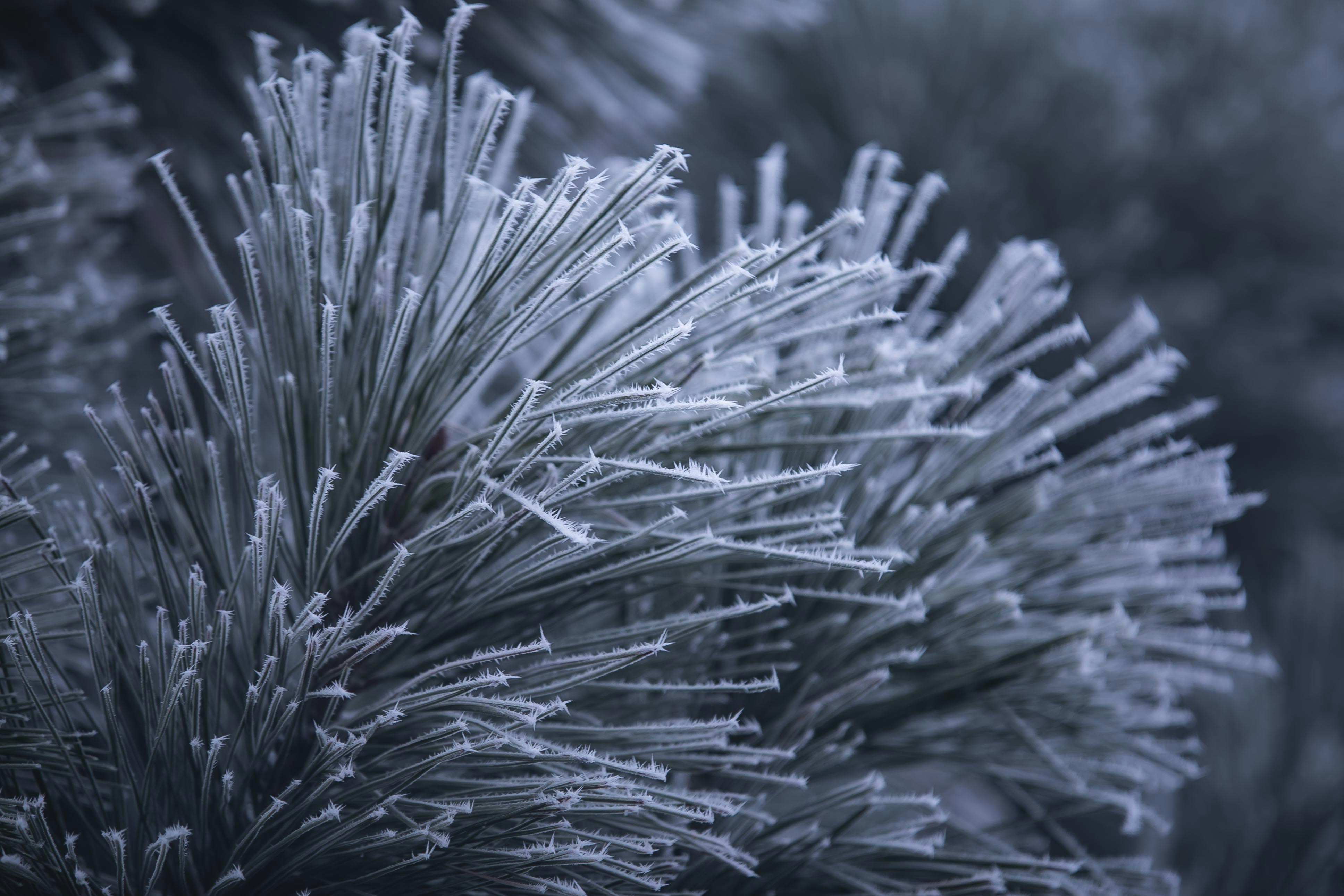 Photo by hutson_photography