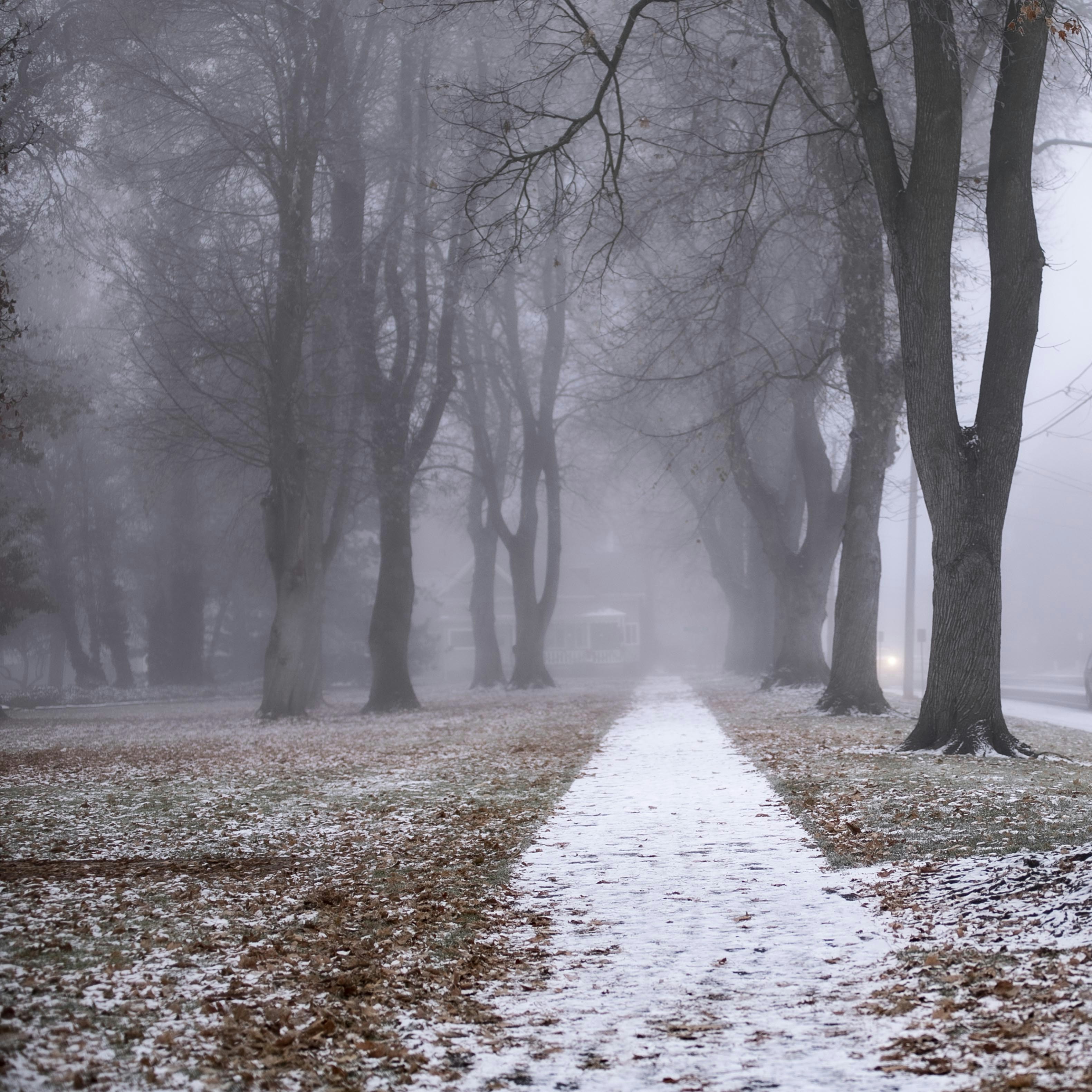 Photo by hutson_photography