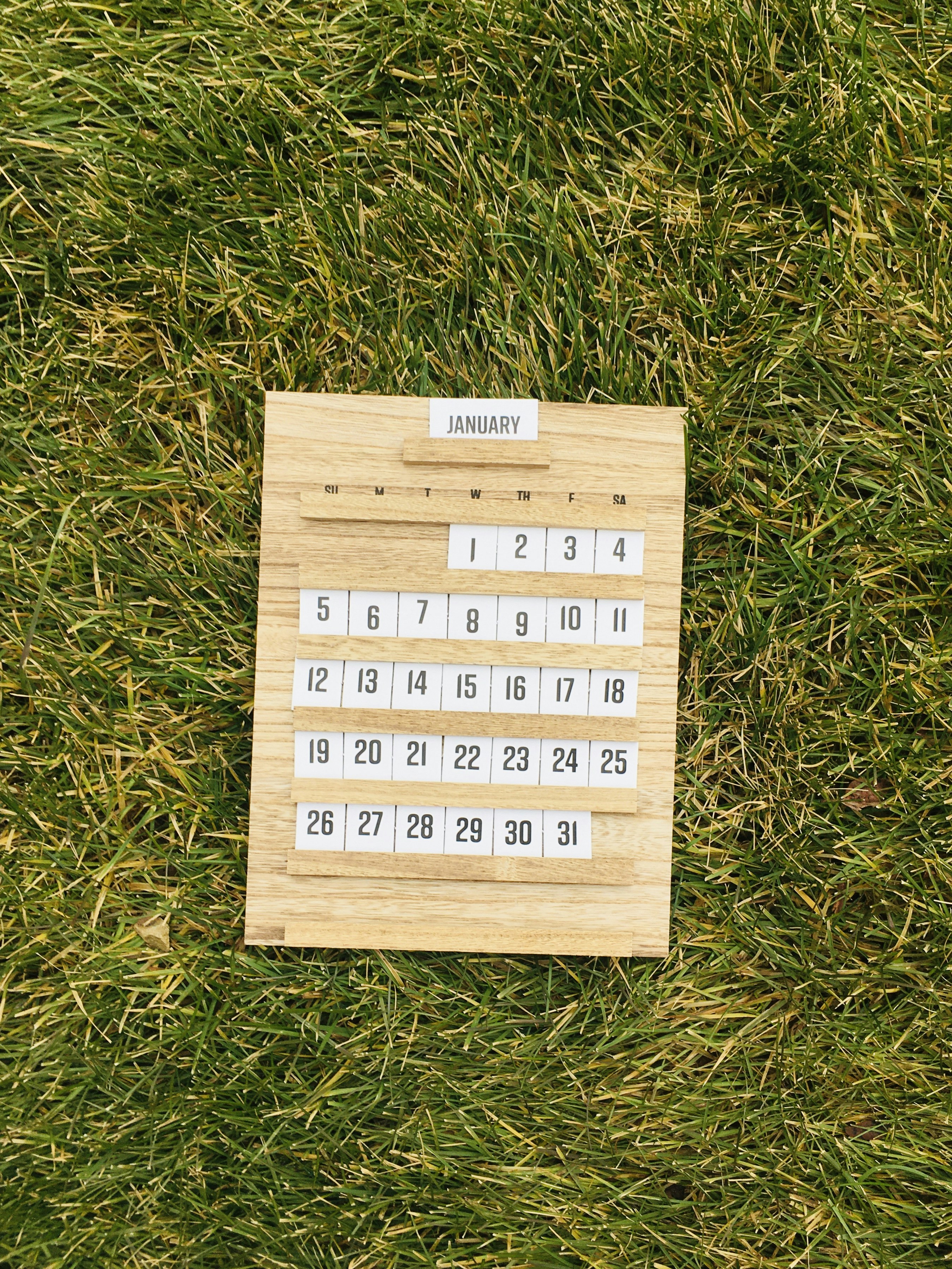 Calendário de Cuidados para o Jardim: Mês a Mês