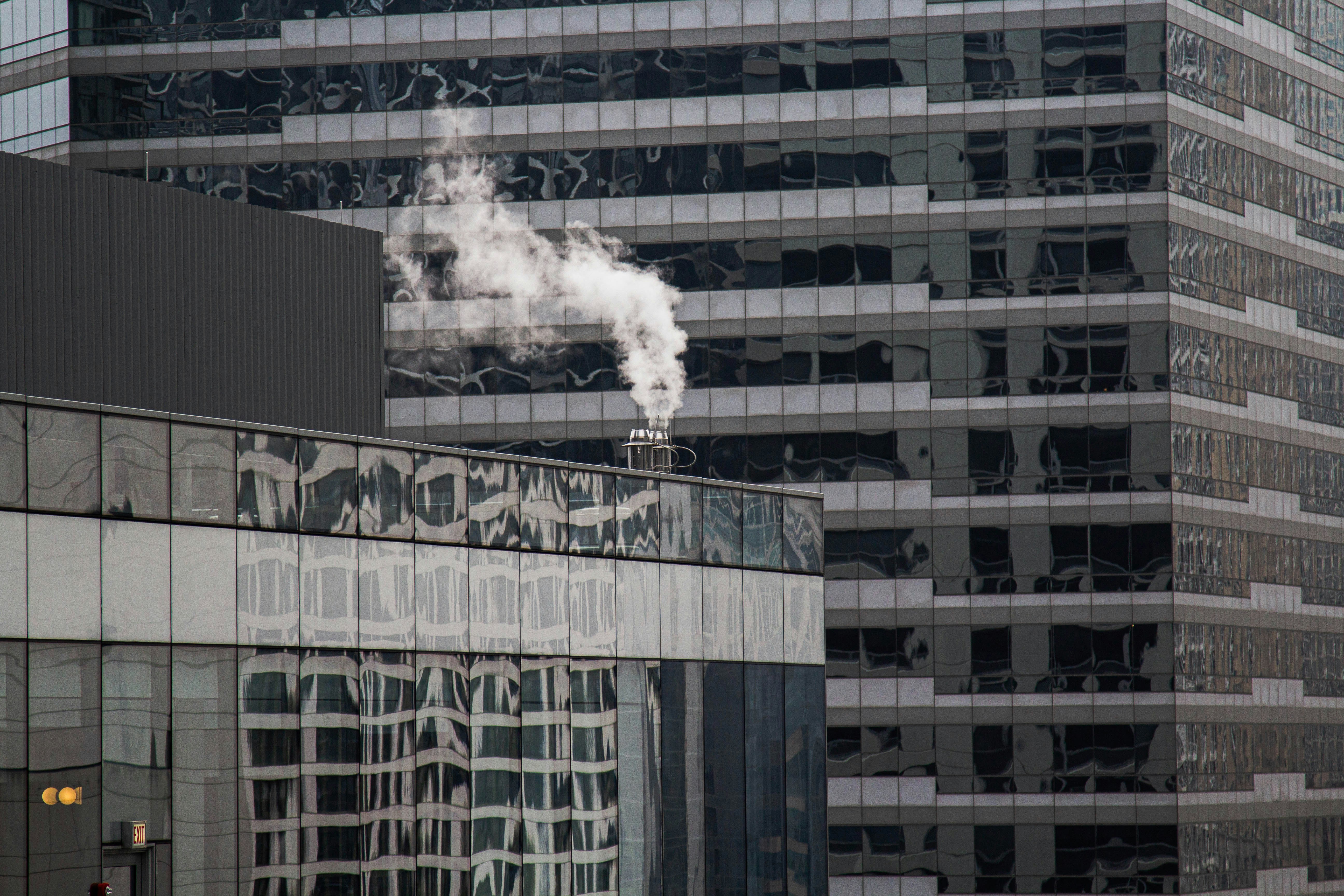 Photo by mason_hassoun