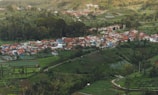 A small village with clustered houses, primarily featuring red-tiled roofs, is nestled within a lush, green landscape. Surrounding the village are terraced fields, trees, and patches of vegetation, suggesting agricultural activity. The scene is set on a hillside, providing an elevated view of the village and the surrounding natural environment.